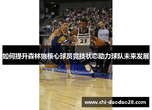 如何提升森林狼核心球员竞技状态助力球队未来发展 如何提升森林狼核心球员竞技状态助力球队未来发展