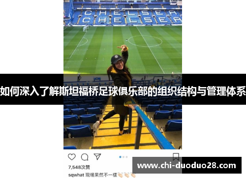 如何深入了解斯坦福桥足球俱乐部的组织结构与管理体系