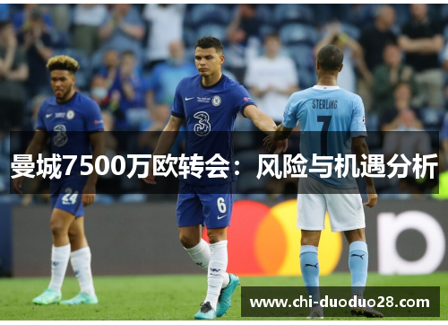 曼城7500万欧转会:风险与机遇分析 曼城7500万欧转会:风险与机遇分析