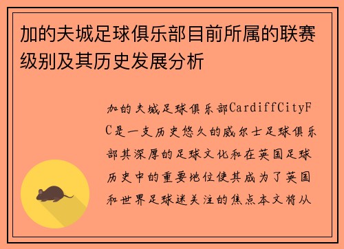 加的夫城足球俱乐部目前所属的联赛级别及其历史发展分析