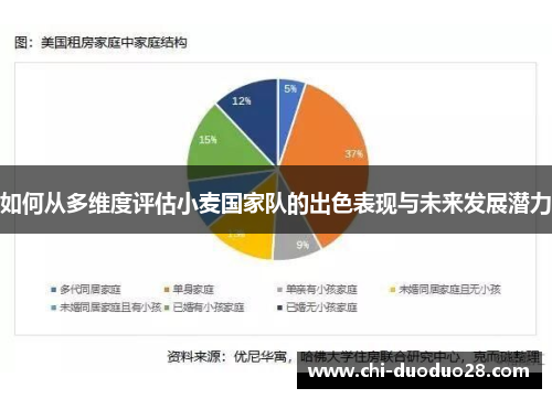 如何从多维度评估小麦国家队的出色表现与未来发展潜力