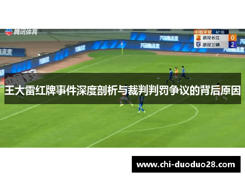 王大雷红牌事件深度剖析与裁判判罚争议的背后原因