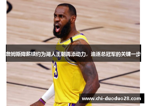 詹姆斯降薪续约为湖人王朝再添动力,追逐总冠军的关键一步 詹姆斯降薪续约为湖人王朝再添动力,追逐总冠军的关键一步