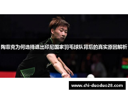 陶菲克为何选择退出印尼国家羽毛球队背后的真实原因解析