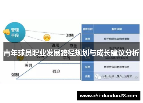青年球员职业发展路径规划与成长建议分析