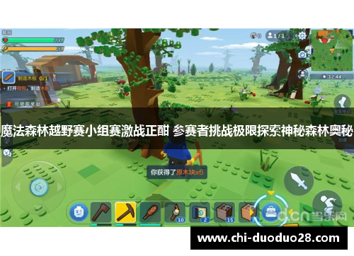 魔法森林越野赛小组赛激战正酣 参赛者挑战极限探索神秘森林奥秘 魔法森林越野赛小组赛激战正酣 参赛者挑战极限探索神秘森林奥秘