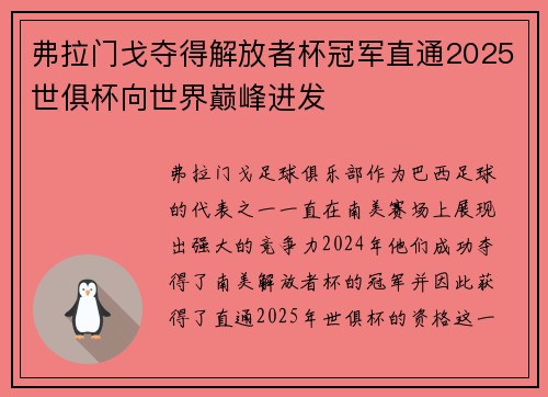 弗拉门戈夺得解放者杯冠军直通2025世俱杯向世界巅峰进发