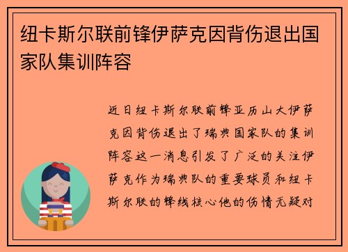 纽卡斯尔联前锋伊萨克因背伤退出国家队集训阵容