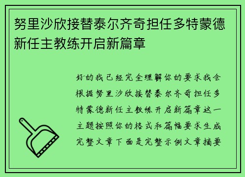 努里沙欣接替泰尔齐奇担任多特蒙德新任主教练开启新篇章